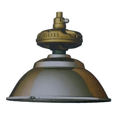 產(chǎn)品展示    1.本燈具為工廠用普通照明設(shè)備.      2.